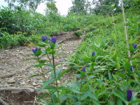 �����h�E�B